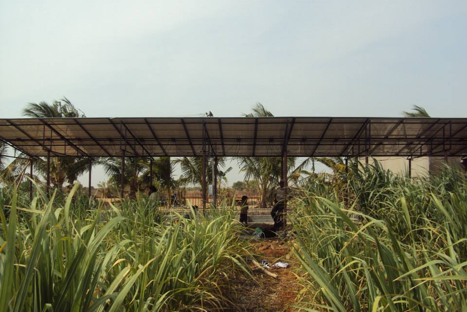 450097520_3889668151261637_2539156900185162055_n