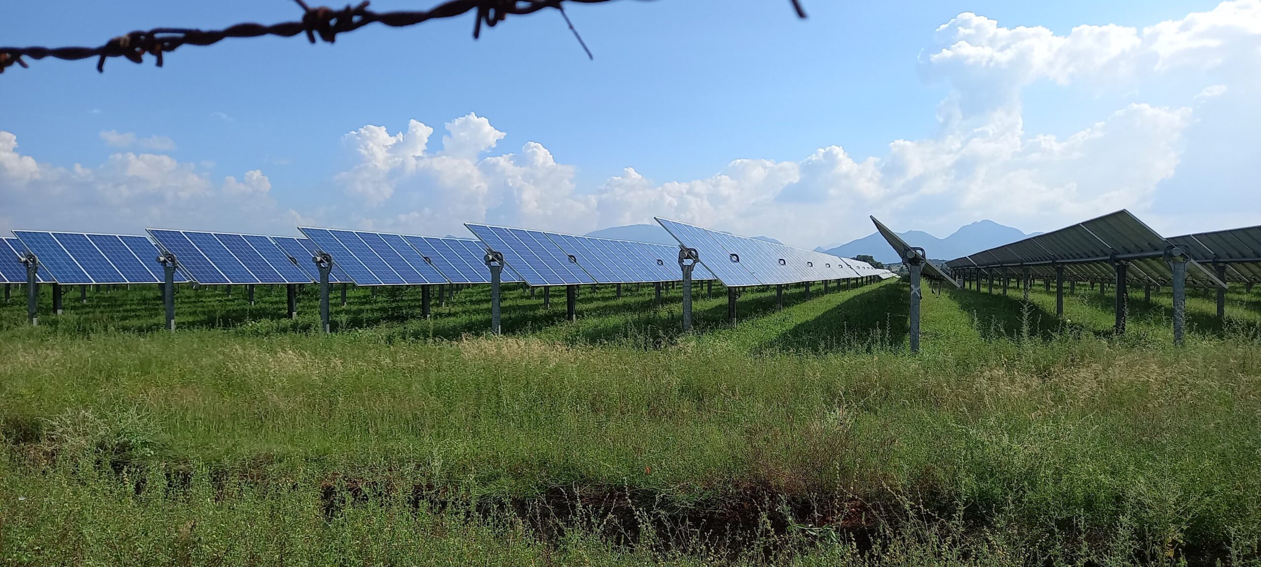 WhatsApp Image 2024-12-05 at 6.17.18 PM (1)