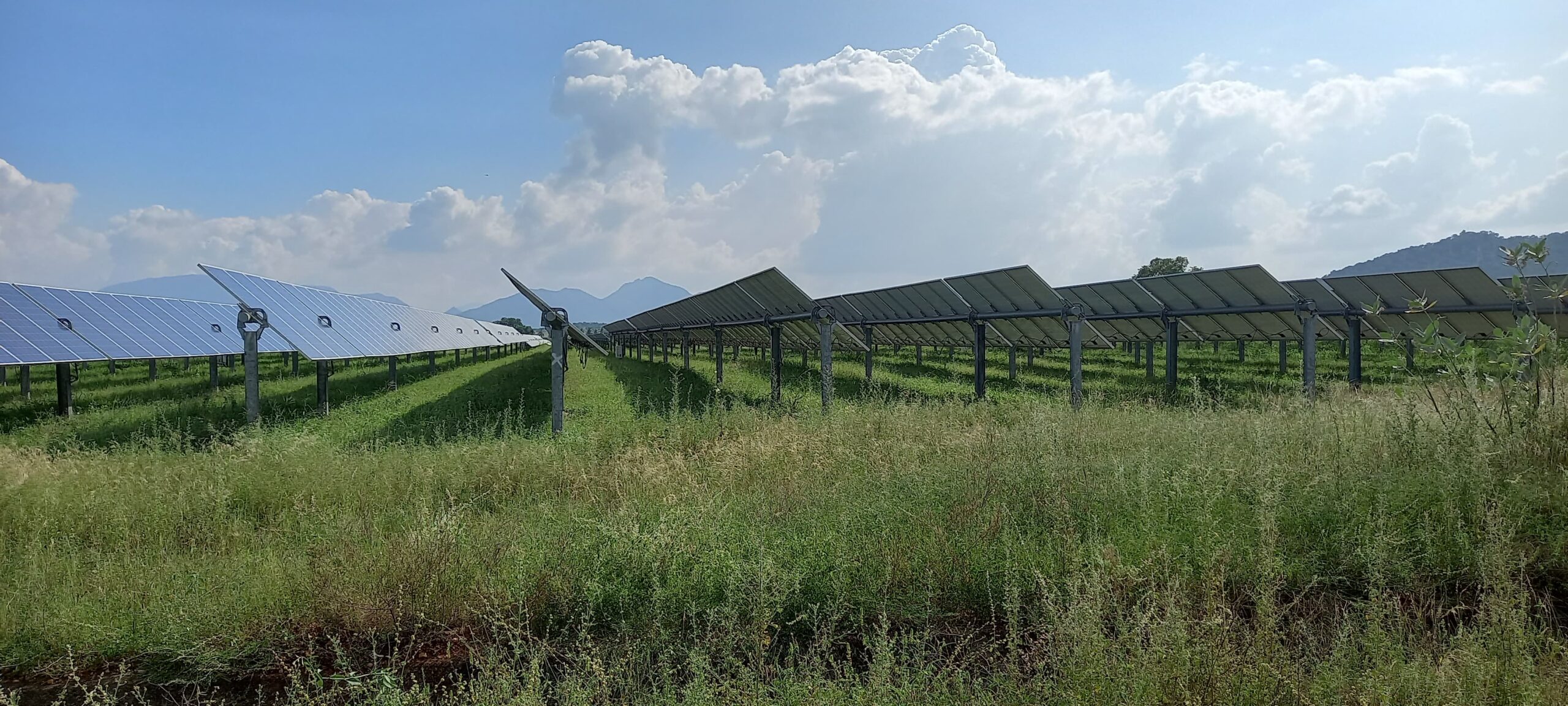 WhatsApp Image 2024-12-05 at 6.17.18 PM