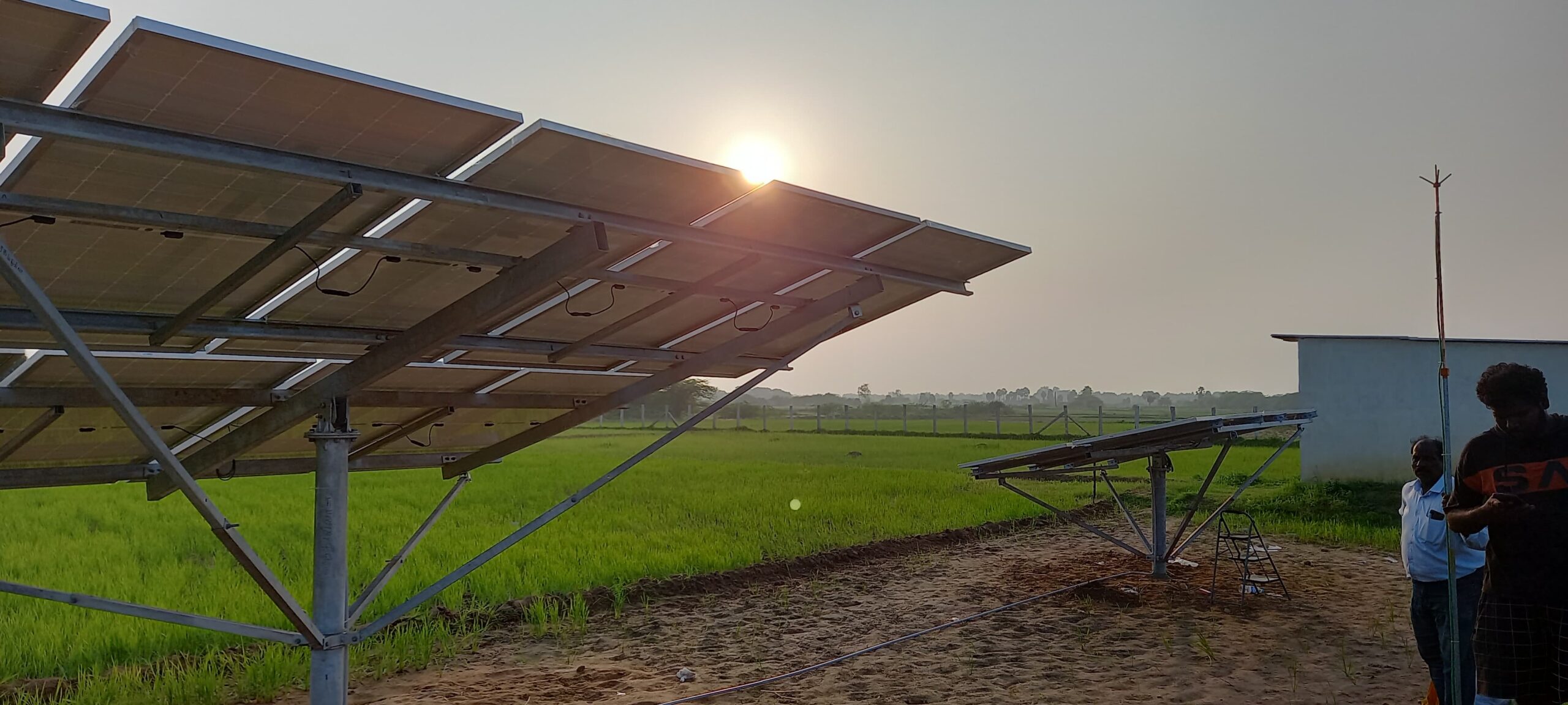 WhatsApp Image 2024-12-19 at 9.29.46 PM