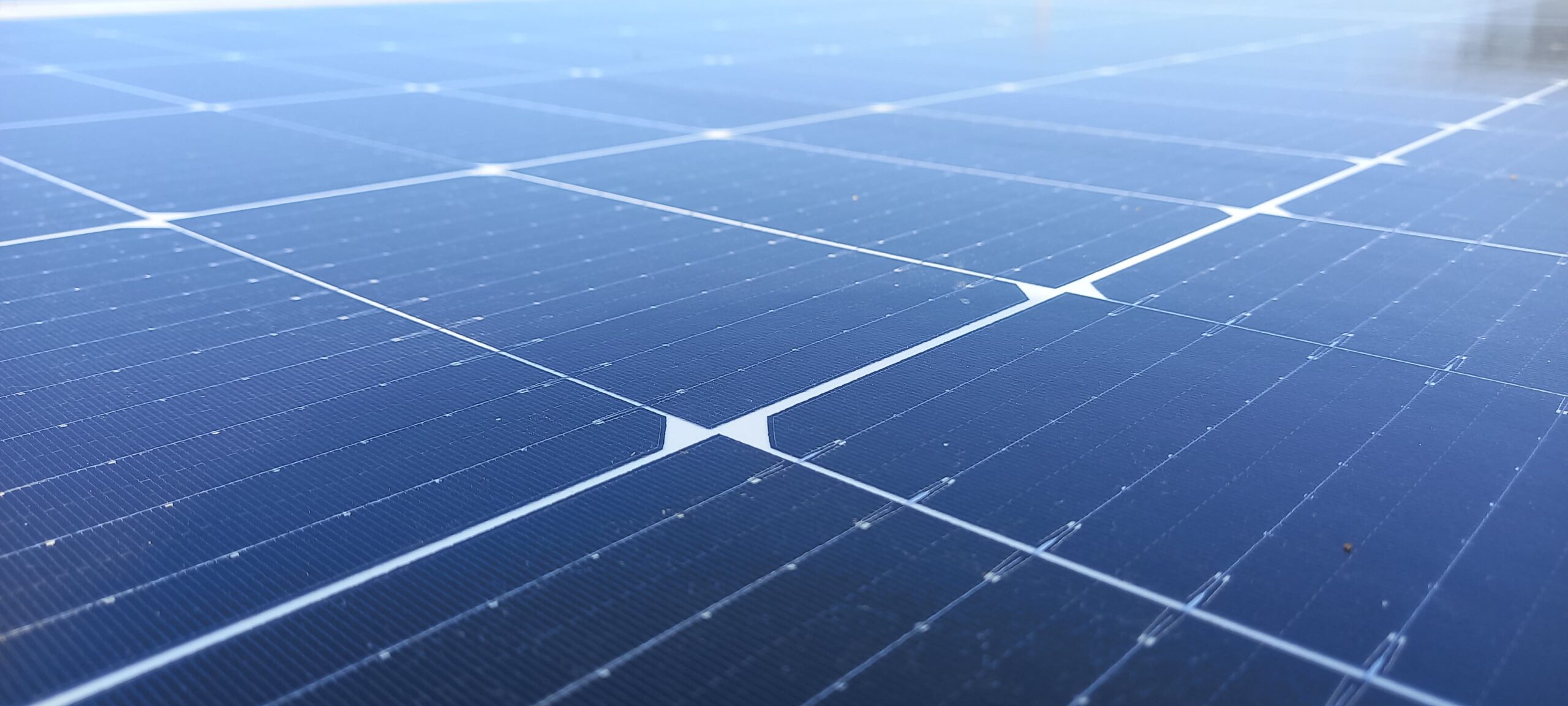 WhatsApp Image 2024-12-19 at 9.32.26 PM