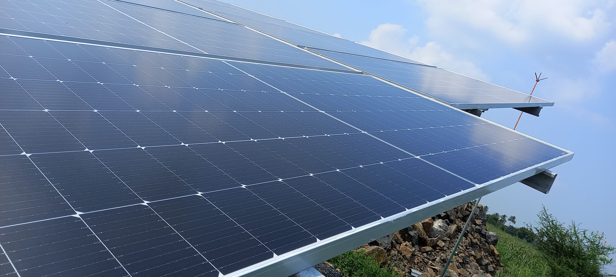 WhatsApp Image 2024-12-19 at 9.32.39 PM